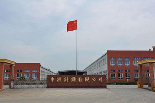 申洲國際半年業(yè)績增收10.8%，生產(chǎn)效率提升成關(guān)鍵驅(qū)動力，運動類產(chǎn)品銷售額占67.9%