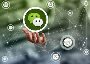 上海微信自動(dòng)營銷軟件制造廠家 軟件銷售的全方位解析